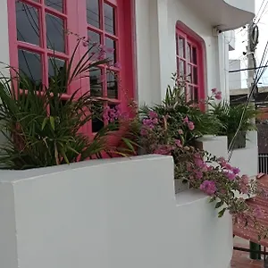 Miami Colombia